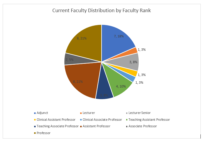 Pie chart showing count and percentage of total program faculty by rank